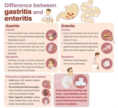 gastroenteritis versus gastritis|Overview of Gastroenteritis .